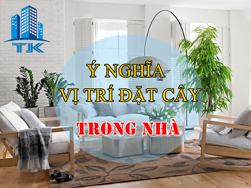 y-nghia-phong-thuy-cua-vi-tri-dat-cay-phong-thuy-cay-canh-trong-gia-dinh